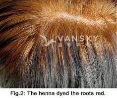 240822105242_Hair-Dying with henna-s.jpg